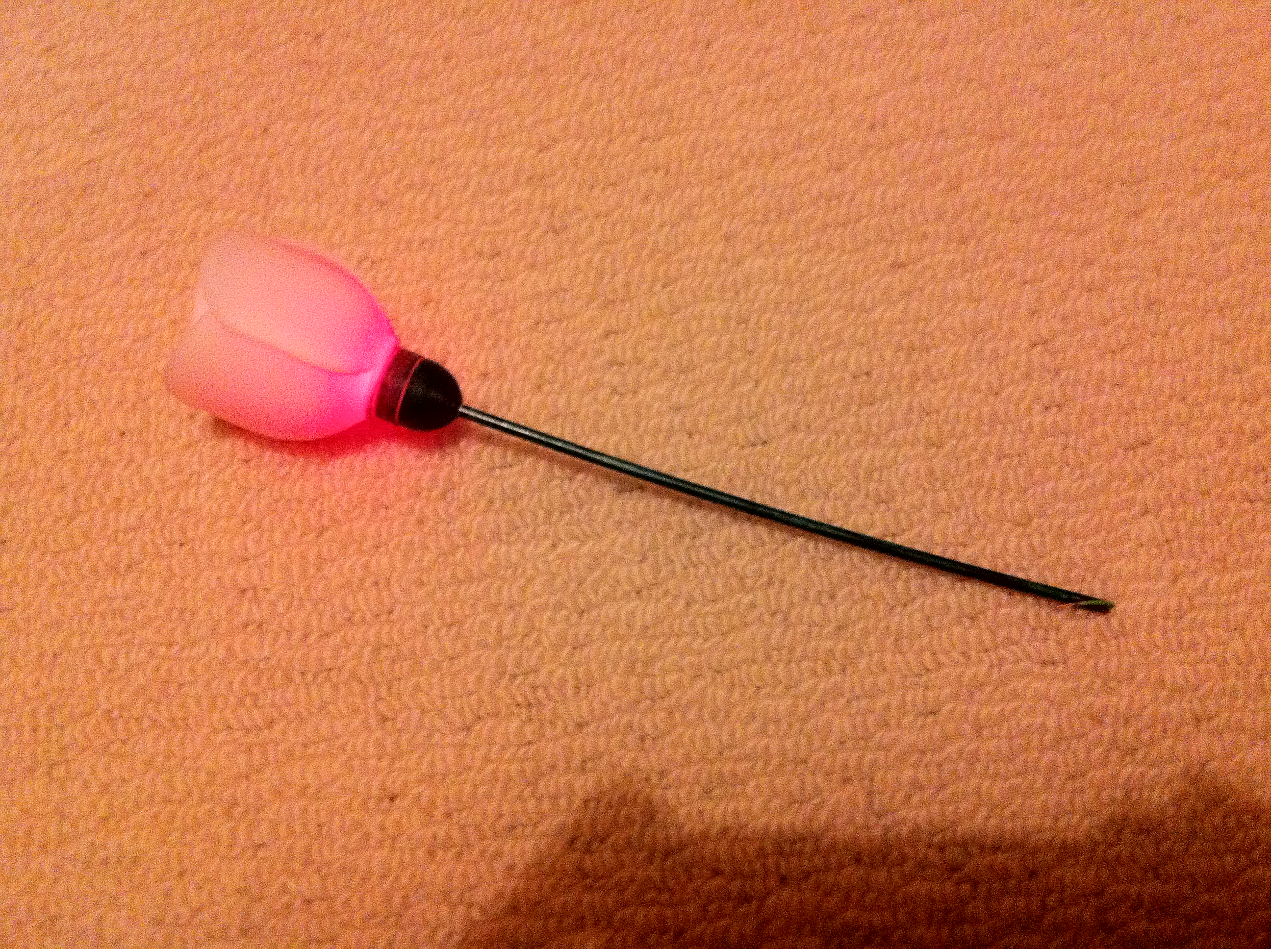Colour changing valentines day rose